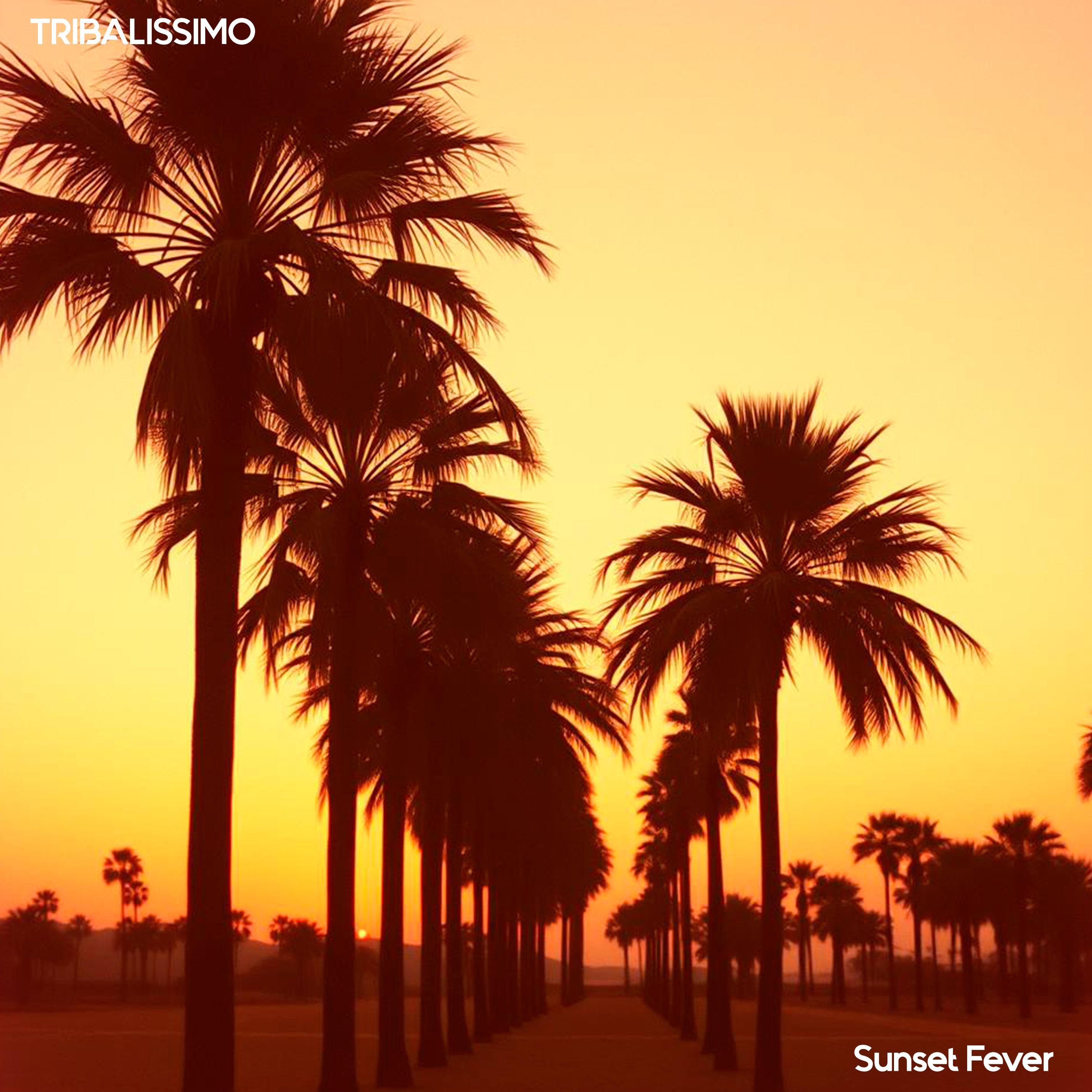Sunset Fever - Single