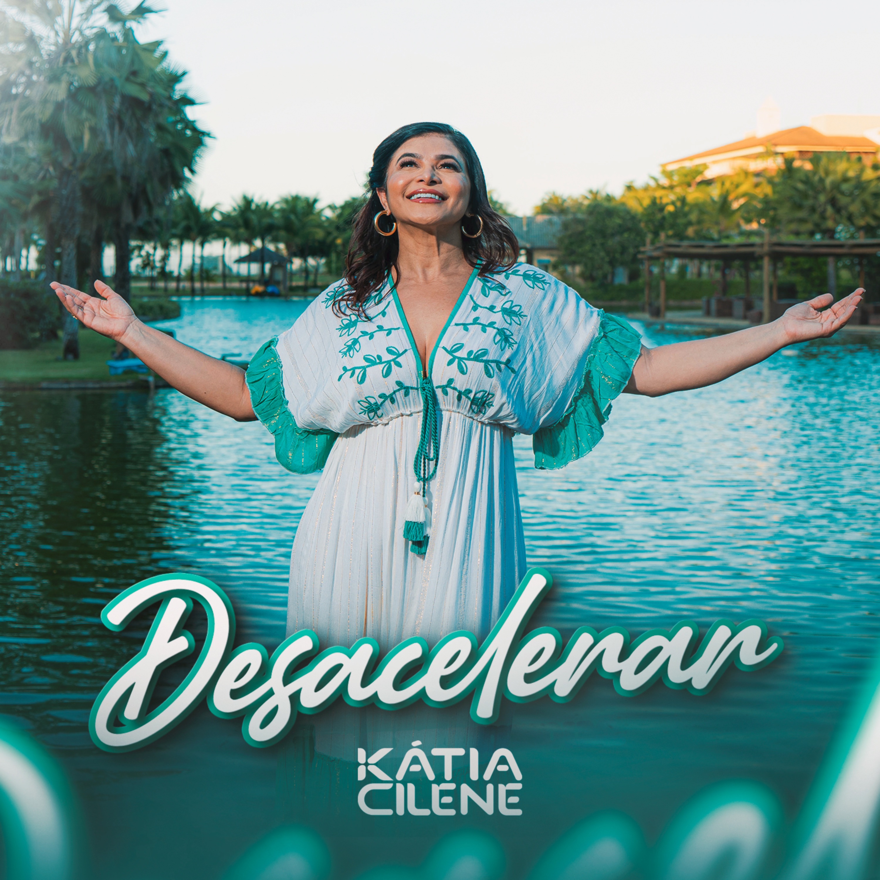 Desacelerar - Single