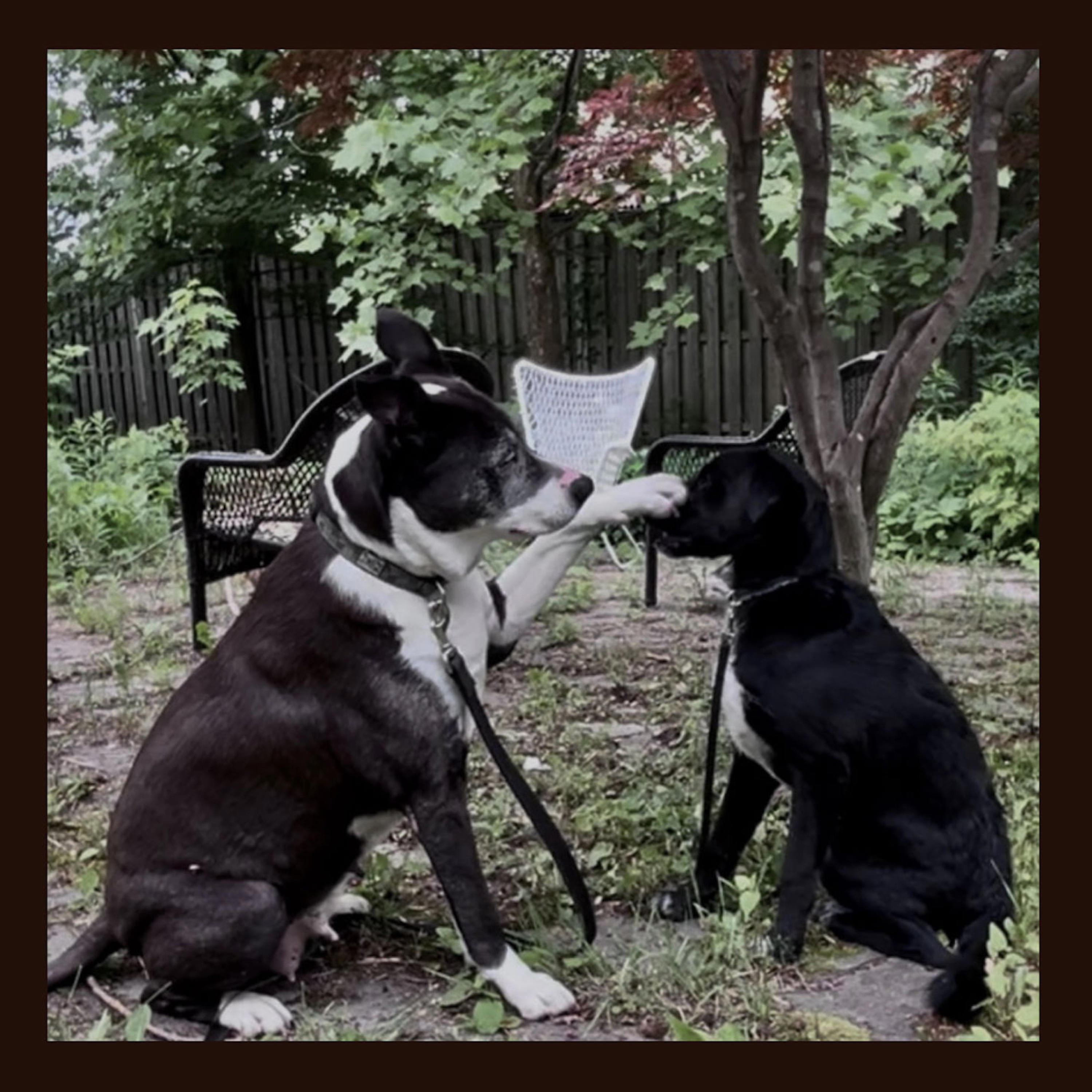 marbie warbie - Single