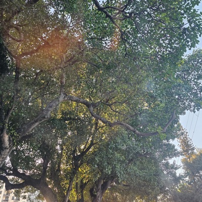 As You Command - Single