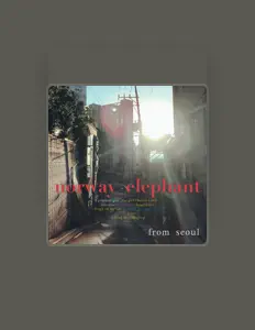 Listen to Norway Elephant, watch music videos, read bio, see tour dates & more!