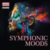 Stuttgart Radio Symphony Orchestra & Sir Neville Marriner - 14 Romances, Op. 34: No. 14, Vocalise (Version for Orchestra)