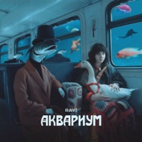 Аквариум - Single - ray!
