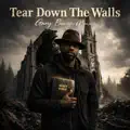 Tear Down The Walls