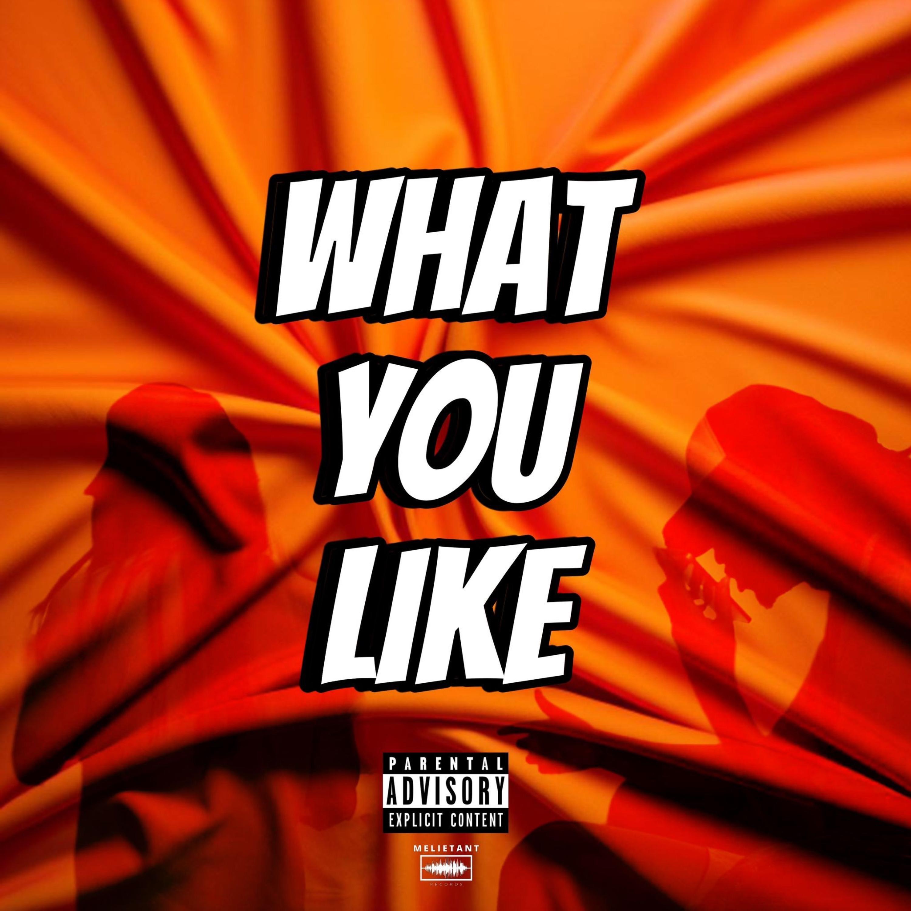 What You Like - Single