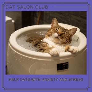 Help Cats with Anxiety and Stress