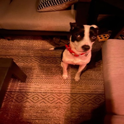 not my problem - Single