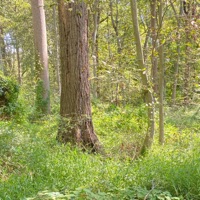 Cold - Single - Jakari!