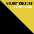 I Saw A Light