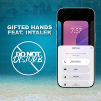 Do Not Disturb (feat. Intalek) - Single - Gifted Hands