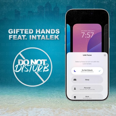 Do Not Disturb (feat. Intalek) - Single