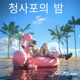 청사포의 밤 Single