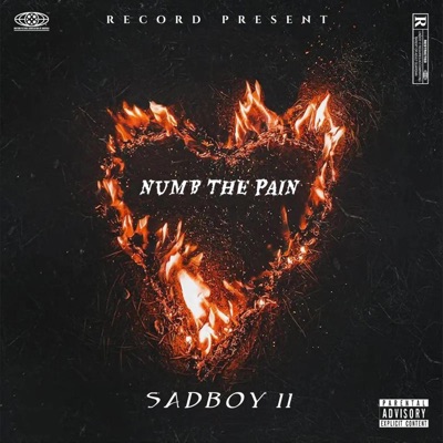 Numb the Pain - Single