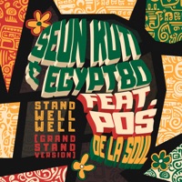 Stand Well Well (Grand Stand Version) - Single - Seun Kuti, Egypt 80' & De La Soul