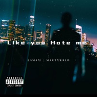 Like You Hate Me - Single - LAMANI & MartnWrld