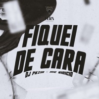 Fiquei de Cara - Single - Dj Pkzin & MC Vinicin