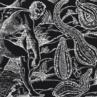 anatomy of a leech - Single - DELIRIUM