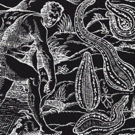 anatomy of a leech DELIRIUM