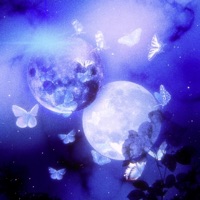 Lovemissing - Single - Xavier G