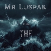 The Storm - Single - Mr Luspak