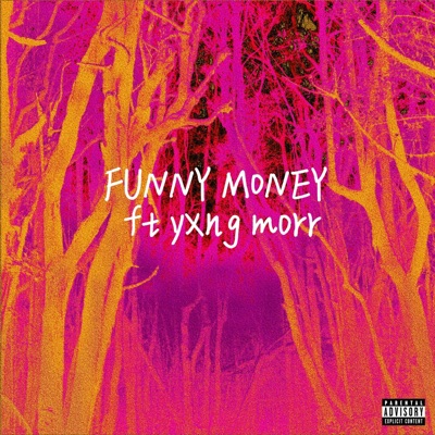 FUNNY MONEY (feat. yxng morr) - Single