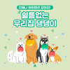 My cute puppy - BGM Teacher