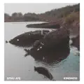 Obsidian
