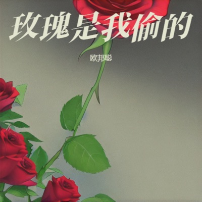 玫瑰是我偷的 - Single