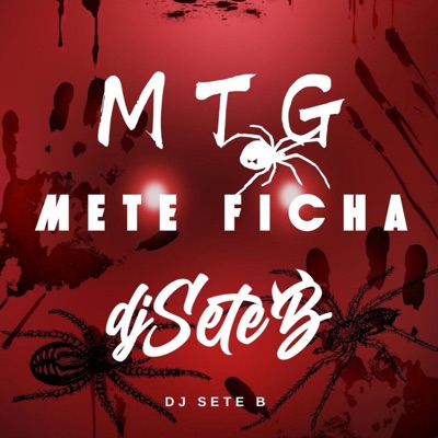 MTG METE FICHA - Single