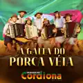 A Gaita do Porca Veia