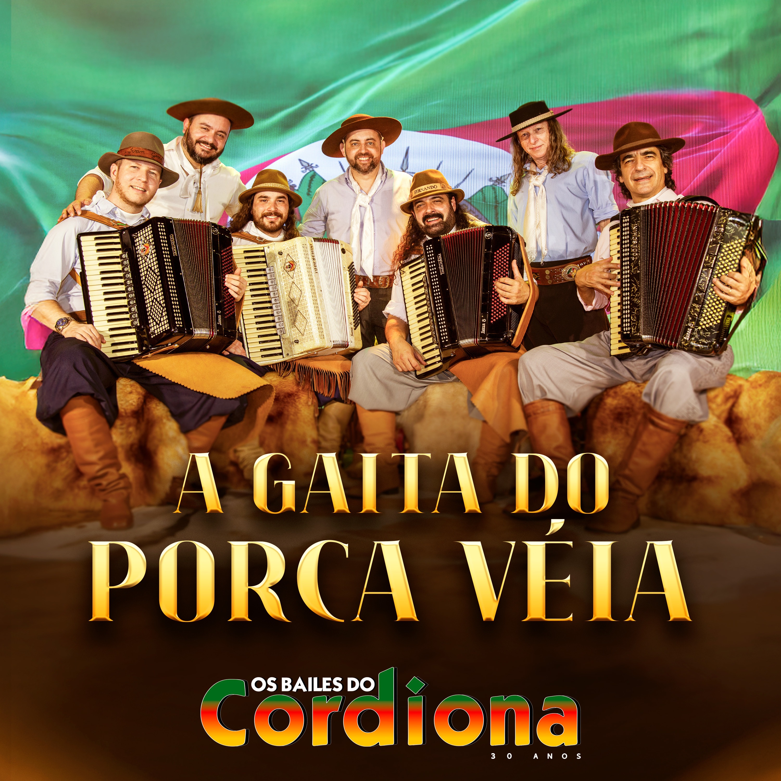 A Gaita do Porca Véia - Single