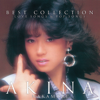 BEST COLLECTION -LOVE SONGS & POP SONGS- (+2) [2024 Lacquer Master Sound] - Akina Nakamori