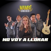 No voy a llorar - Single - Mambo Ranchero