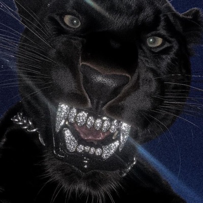 VEM DE SAINHA DE DECOTE - Single