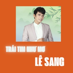 Người Đã Như Mơ (feat. Lưu Ánh Loan)