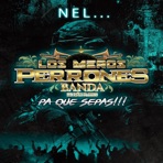 NEL... - Single