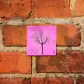 Seasons of Mine