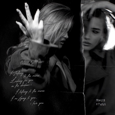 Крылья - Single