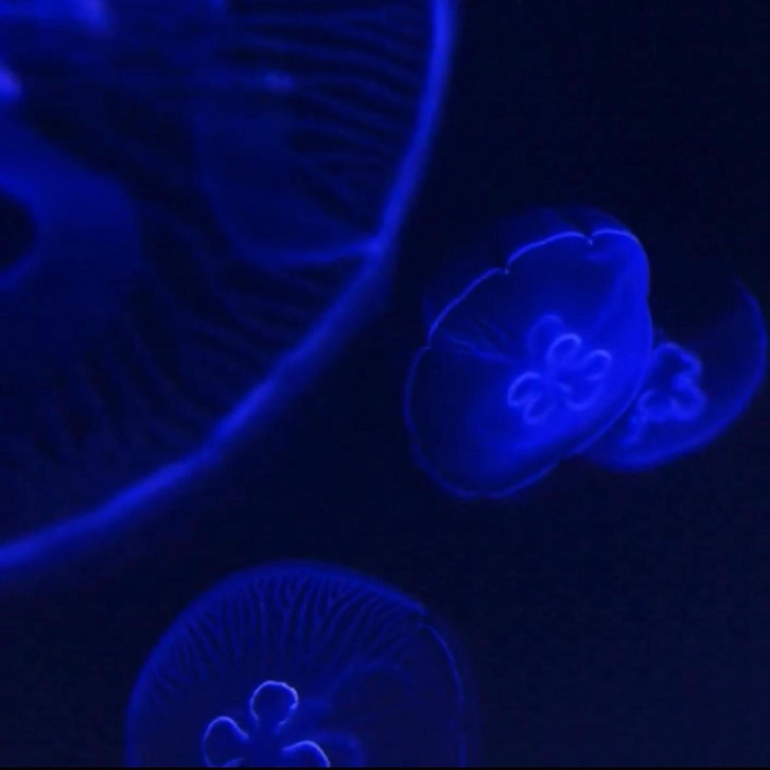 Chapter 2: What if it all works out?