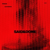 Said & Done artwork