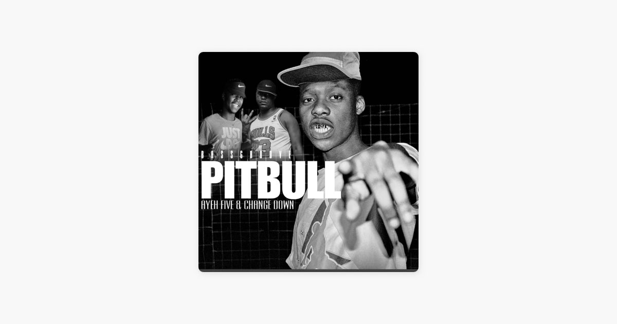 Pitbull II (feat. Ayefive, Change Down & Dj sketch