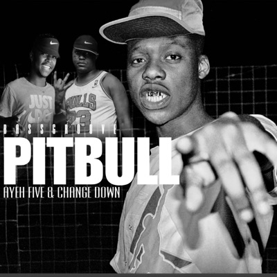 Pitbull II (feat. Ayefive, Change Down & Dj sketch) [Bassgroove] - Single