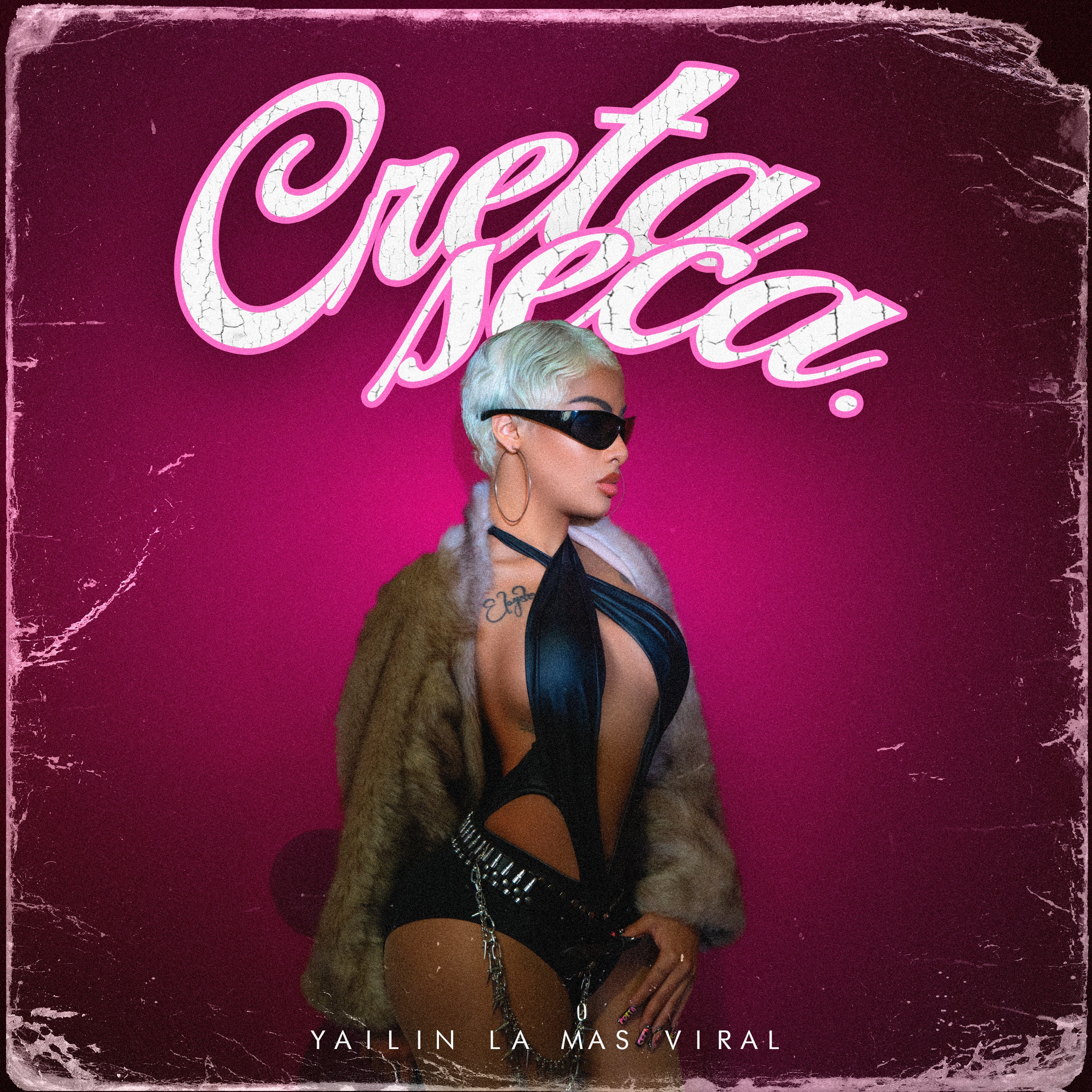 Creta Seca - Yailin La Más Viral