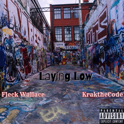 Laying Low (feat. Fleck Wallace) - Single