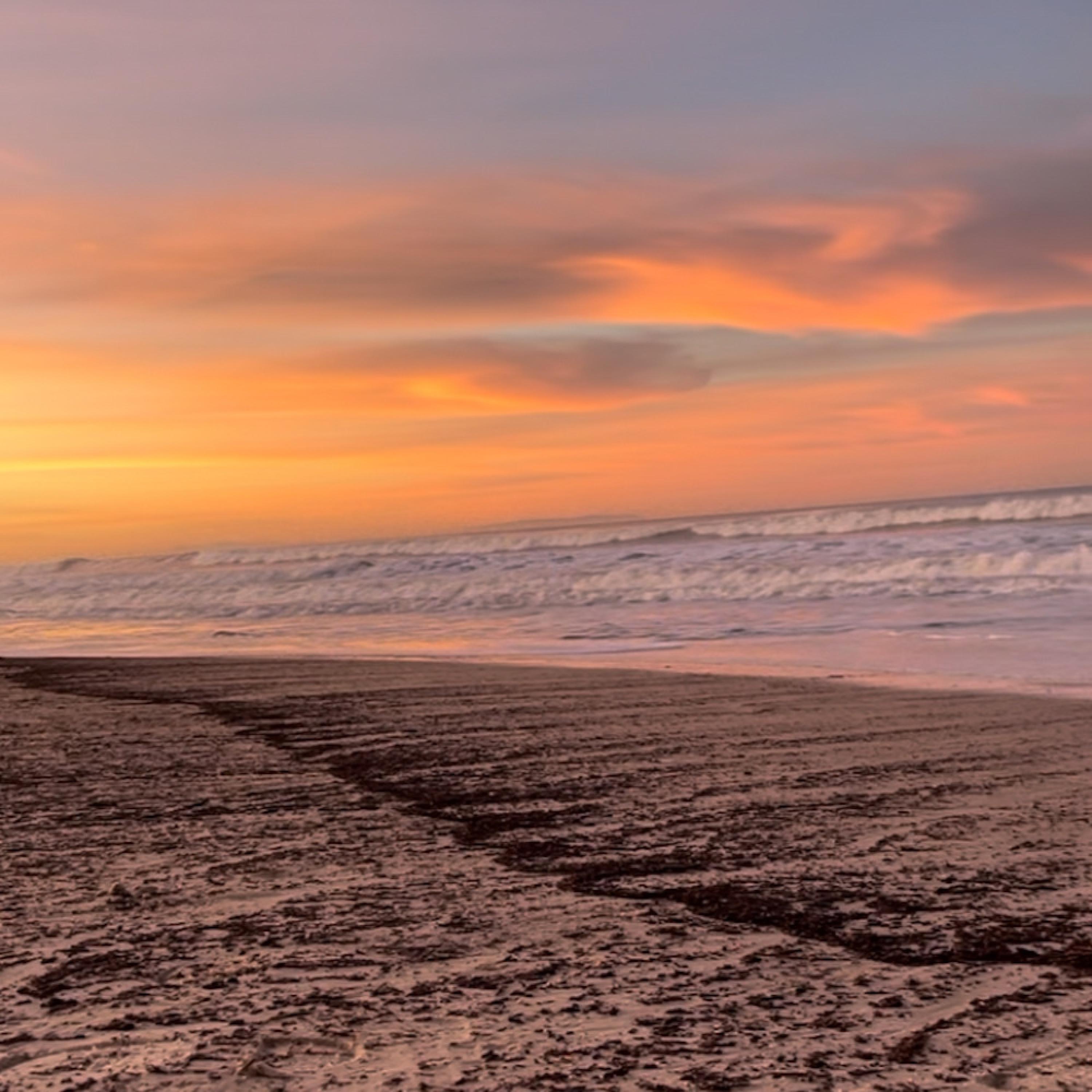 Chill Vibes - Single