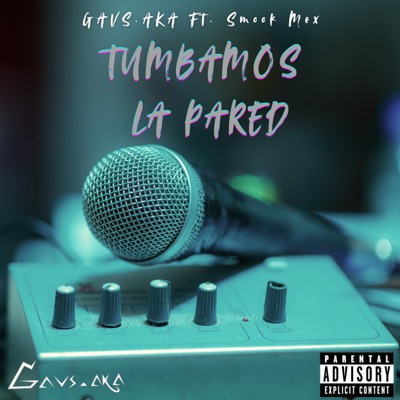 Tumbamos la Pared (feat. Smook Mex) - Single