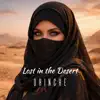 Drinche - Lost in the Desert