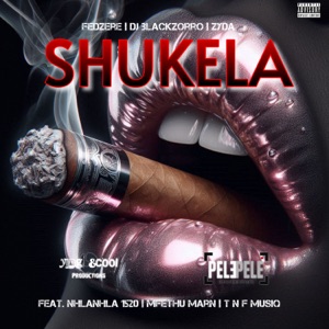 Shukela (feat. Nhlanhla 1520, Mfethu Marn & T n F MusiQ) [Deluxe Version]