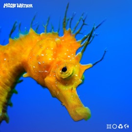 What Are You Waiting For? Moon Water