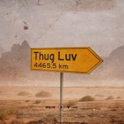 Thug Luv - Single